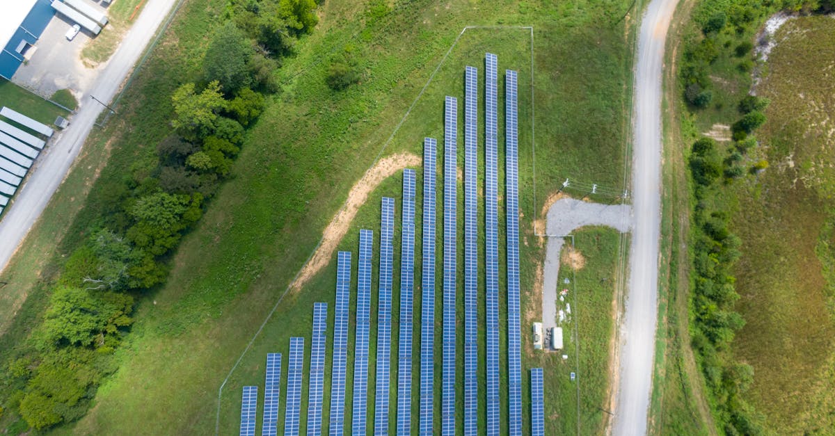 découvrez des stratégies et initiatives pour promouvoir la durabilité environnementale, sociale et économique afin de préserver la planète pour les générations futures.