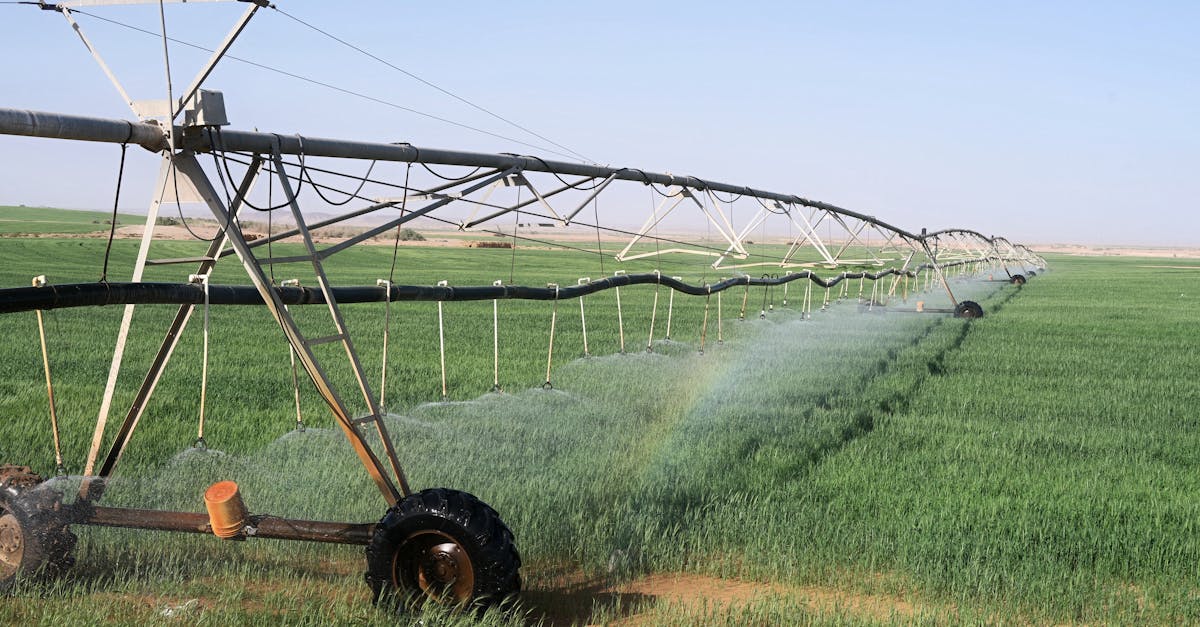 découvrez les stratégies d’adaptation au changement climatique : solutions, actions concrètes et innovations pour faire face aux impacts environnementaux et protéger notre avenir.