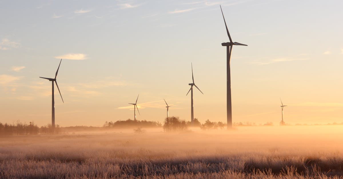 découvrez l'énergie éolienne, une source renouvelable et durable qui transforme le vent en électricité. apprenez comment cette technologie contribue à la transition énergétique et à la protection de l'environnement tout en favorisant l'innovation et le développement économique.