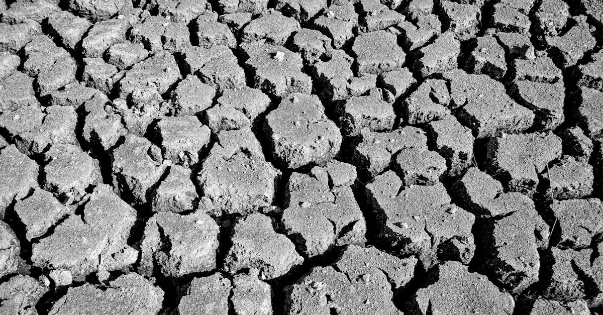 découvrez les causes, les impacts et les solutions face à la sécheresse, un phénomène climatique aux conséquences importantes sur l'environnement et l'agriculture.