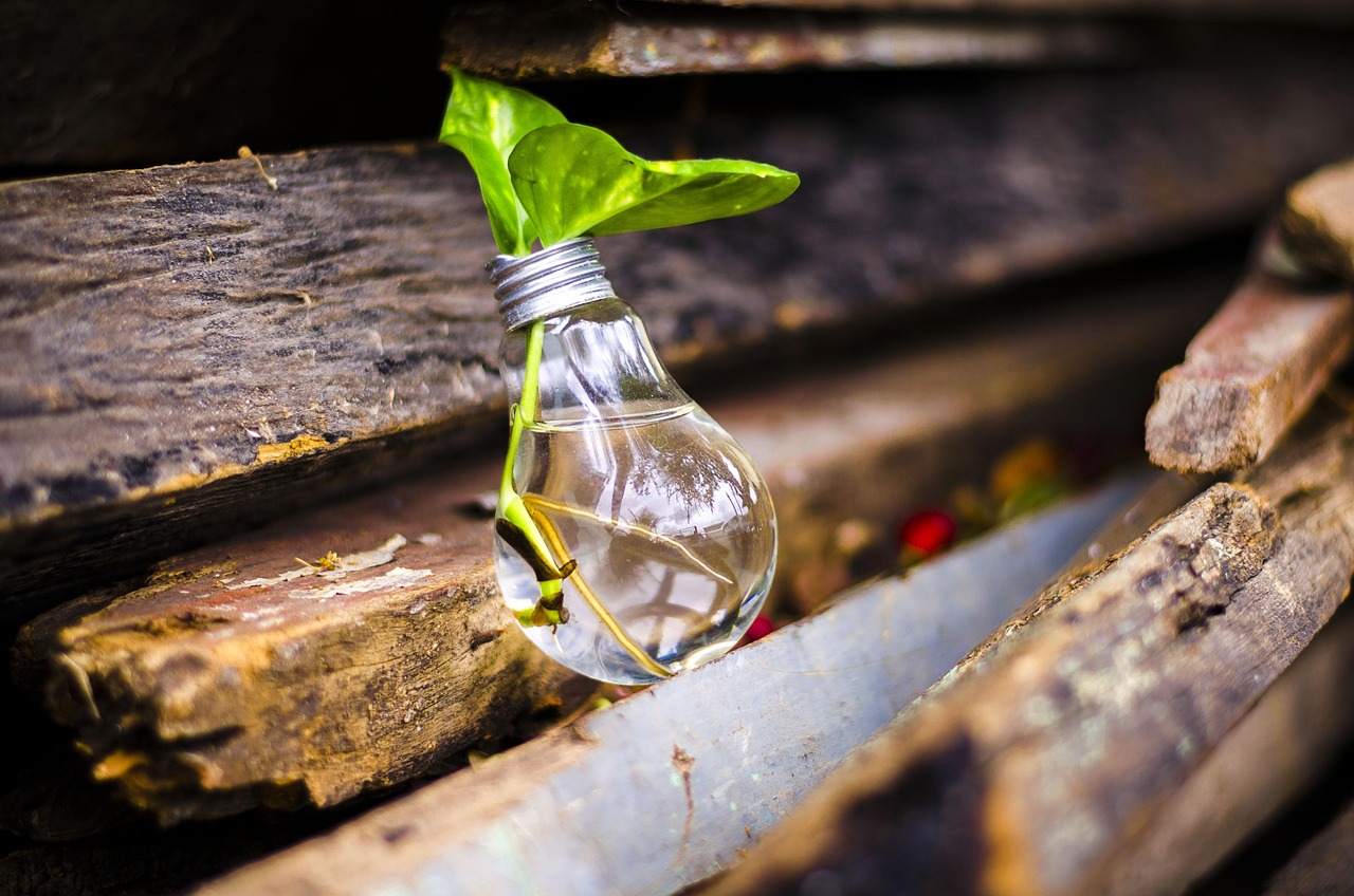 découvrez l'upcycling : transformer les objets anciens en pièces uniques et éco-responsables pour un mode de vie durable et créatif.