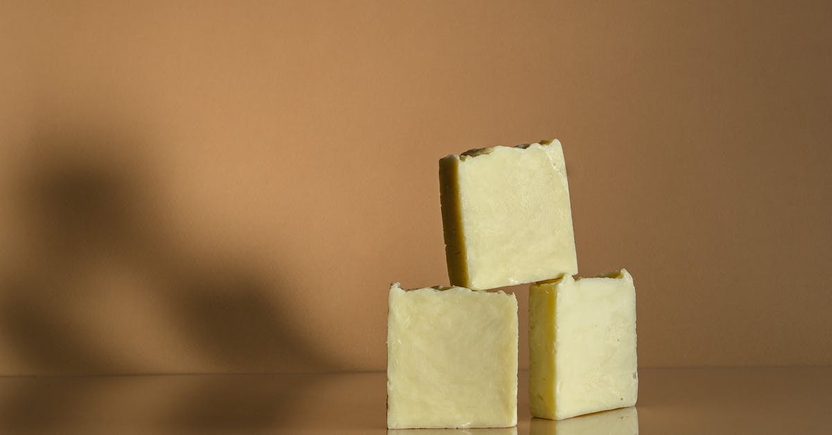 découvrez notre sélection de produits durables, éco-responsables et respectueux de l'environnement. faites le choix d'une consommation consciente et participez à la protection de notre planète tout en utilisant des articles de qualité.