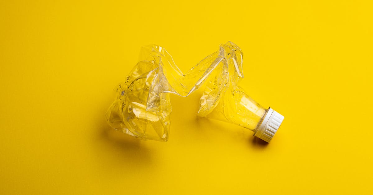 découvrez des solutions innovantes et durables pour la gestion des déchets. apprenez comment optimiser le tri, le recyclage et la réduction des déchets afin de préserver notre environnement.