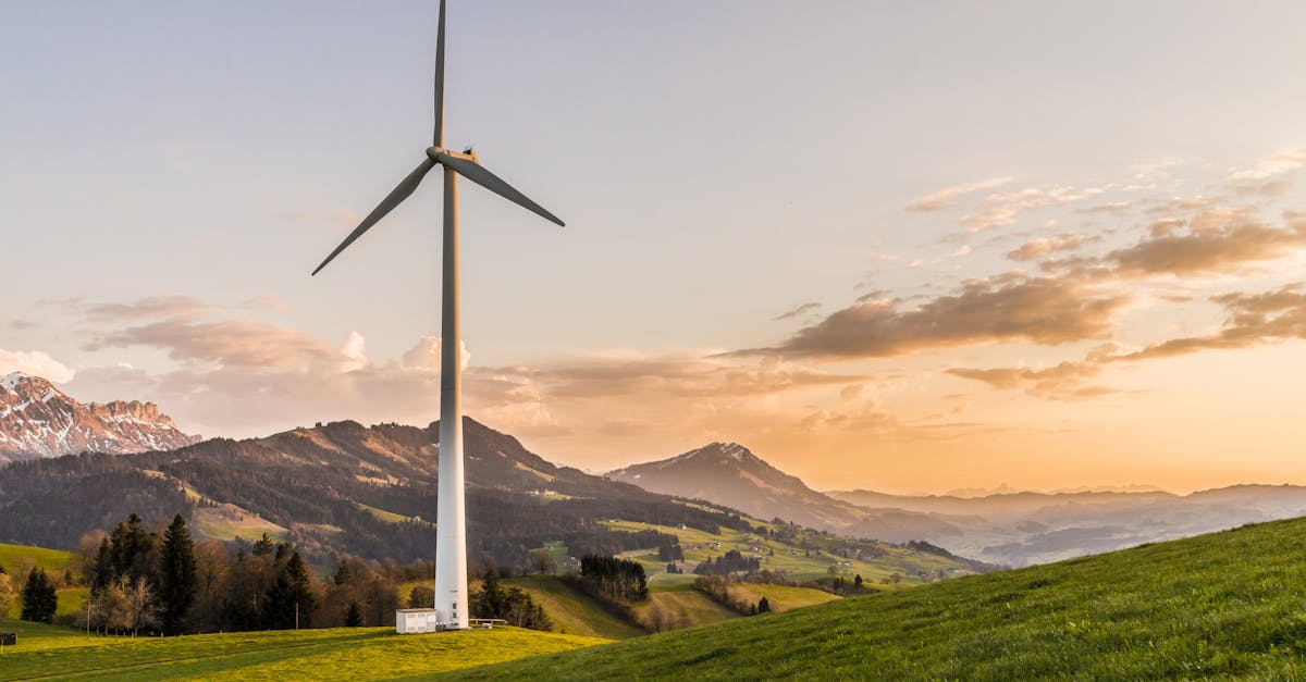 découvrez comment adopter des pratiques durables pour un avenir meilleur. explorez les enjeux de la durabilité, des solutions innovantes et des conseils pour réduire votre empreinte écologique au quotidien.