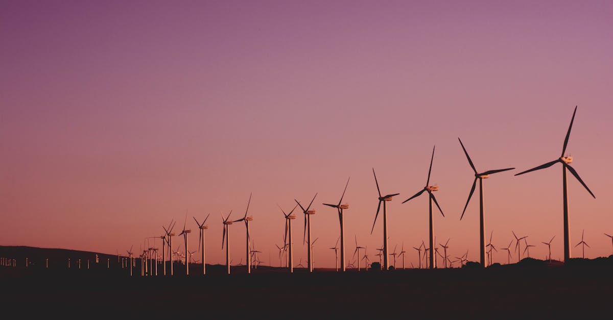 découvrez comment adopter des pratiques durables pour protéger l’environnement et améliorer votre impact écologique. conseils, exemples d’initiatives et solutions pour un avenir plus responsable.