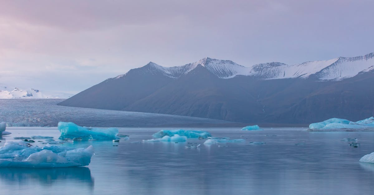 découvrez l'aventure ultime avec notre expédition au groenland : paysages sauvages, glaciers majestueux et une expérience inoubliable au cœur de l'arctique.