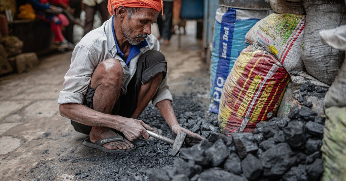 découvrez pourquoi l'inde a décliné l'invitation à la cop33 et les enjeux environnementaux et politiques liés à cette décision.