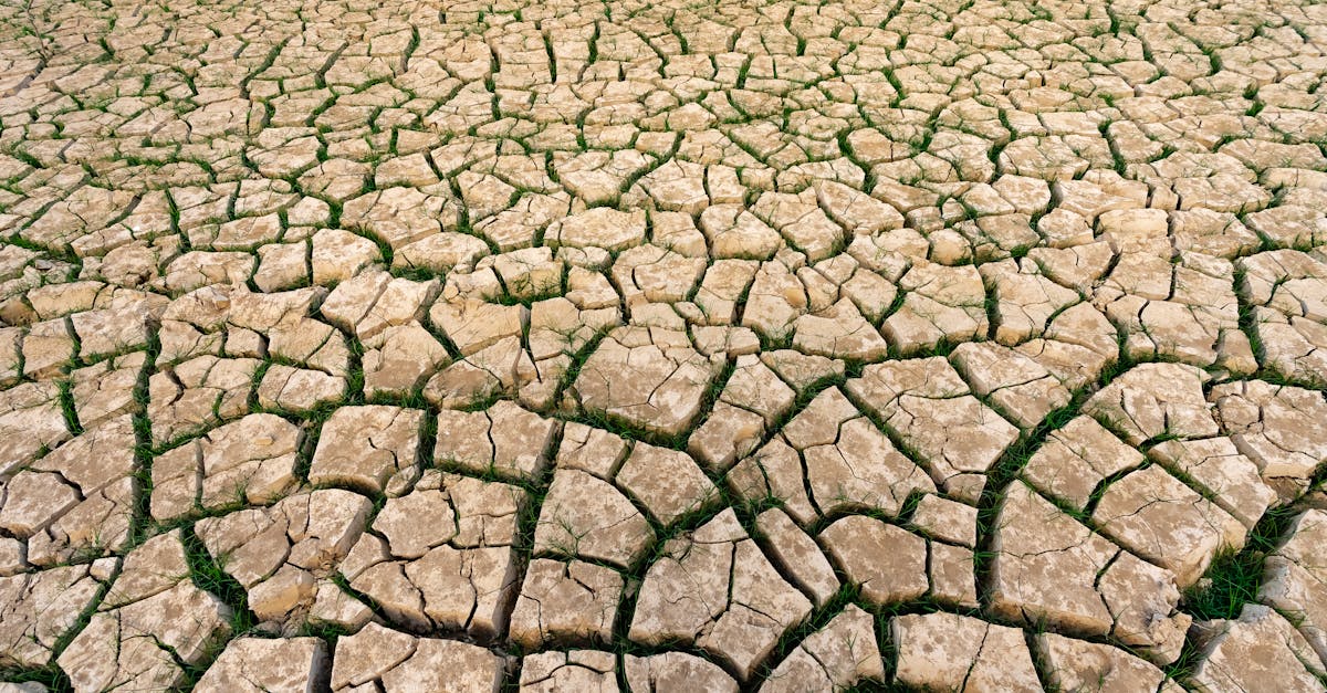 découvrez les effets du changement climatique sur notre planète, ses écosystèmes et les actions pour réduire notre empreinte carbone.