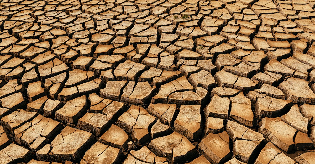 découvrez les causes, impacts et solutions du changement climatique pour mieux comprendre et agir en faveur de la planète.