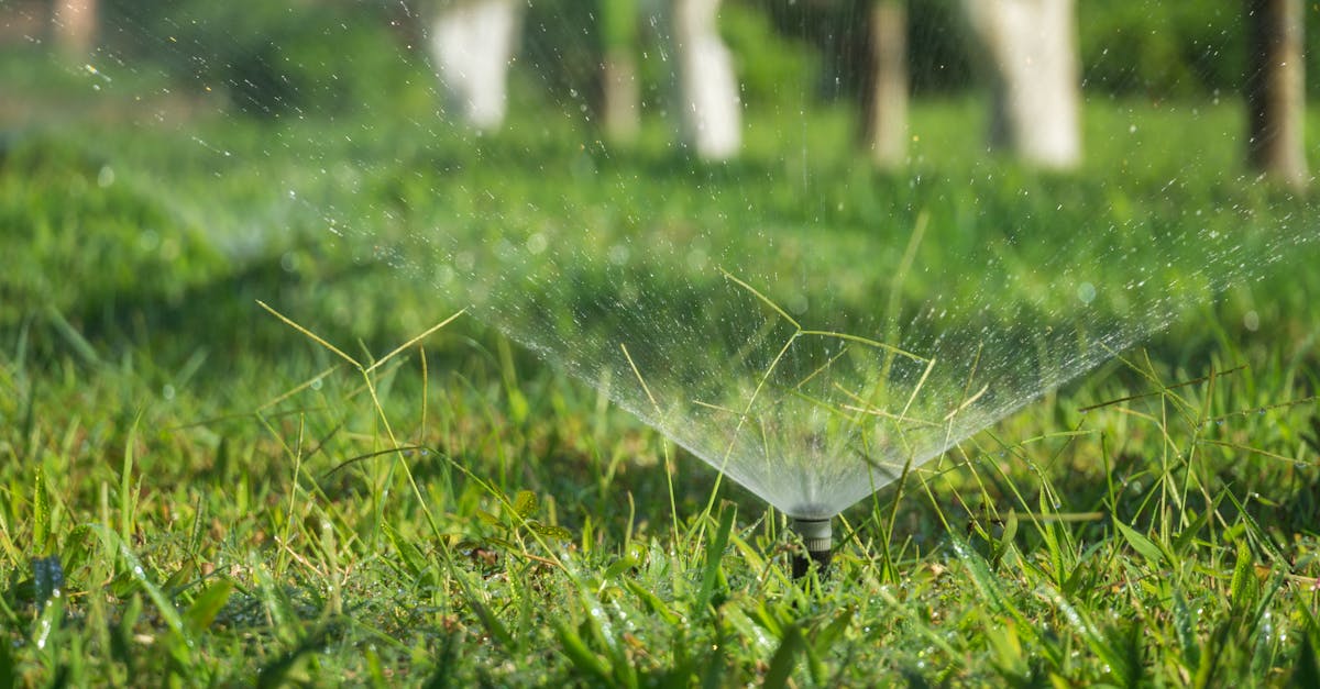 découvrez tout sur l'eau : ses propriétés, son importance vitale, ses usages quotidiens et son impact sur l'environnement.