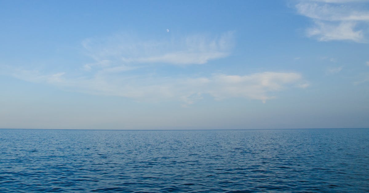 découvrez les merveilles de l'océan, un monde fascinant regorgeant de biodiversité, de paysages sous-marins époustouflants et d'aventures aquatiques inoubliables. plongez dans l'univers mystérieux des profondeurs marines.