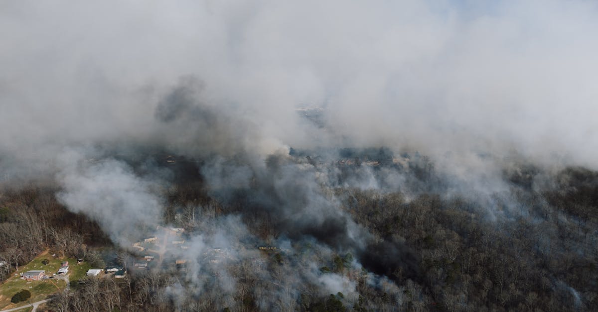 découvrez les politiques d'adaptation aux catastrophes, essentielles pour renforcer la résilience des communautés face aux défis environnementaux et climatiques. explorez des stratégies innovantes et des exemples concrets d'application pour mieux anticiper et gérer les crises.