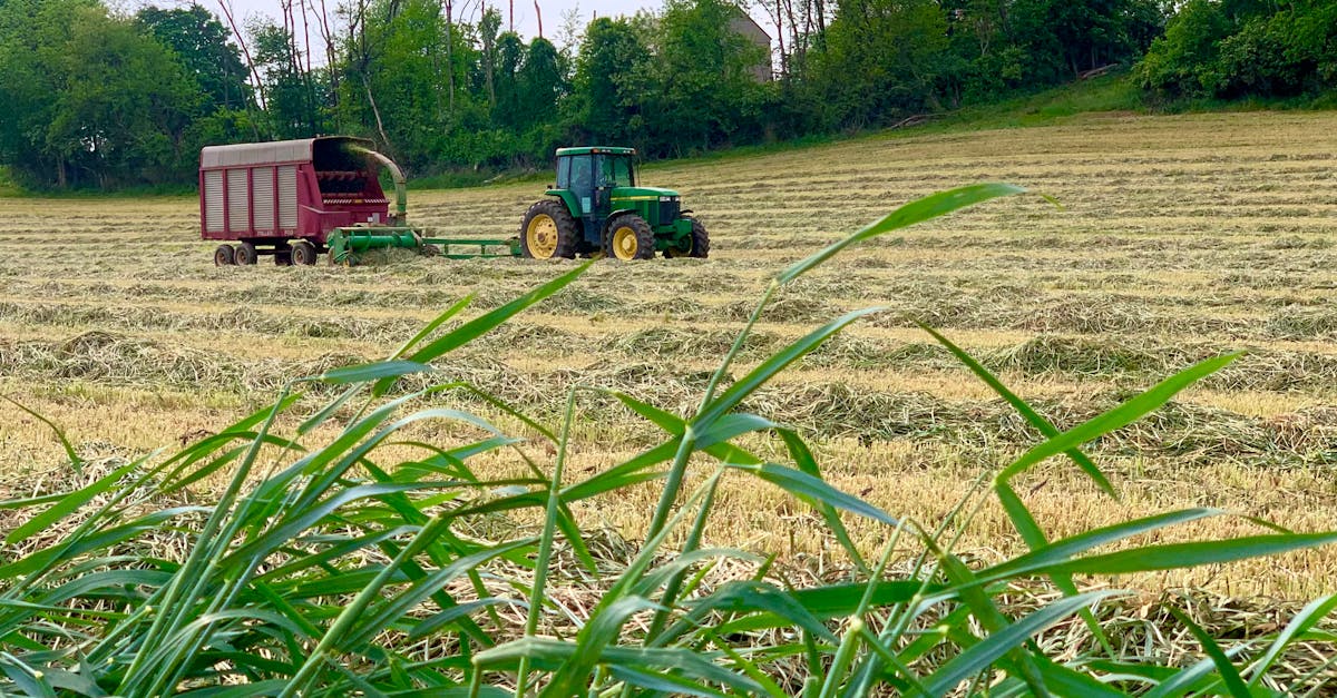 découvrez nos solutions de forage pour maximiser la production et optimiser vos ressources. expertise et performance au service de vos projets.