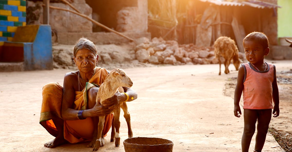 découvrez l'inde, un pays riche en culture, histoire et paysages diversifiés, offrant une expérience unique entre traditions anciennes et modernité.