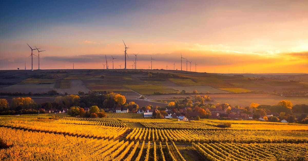 découvrez des solutions et des pratiques durables pour un avenir respectueux de l'environnement. apprenez comment intégrer la durabilité dans votre quotidien et contribuer à la protection de notre planète.