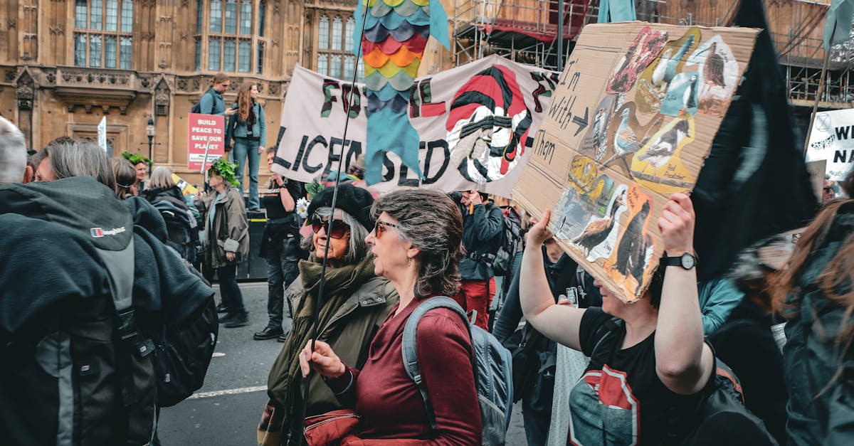découvrez l'activisme environnemental : mobilisations, actions concrètes et engagement pour la protection de la planète et la lutte contre le changement climatique.