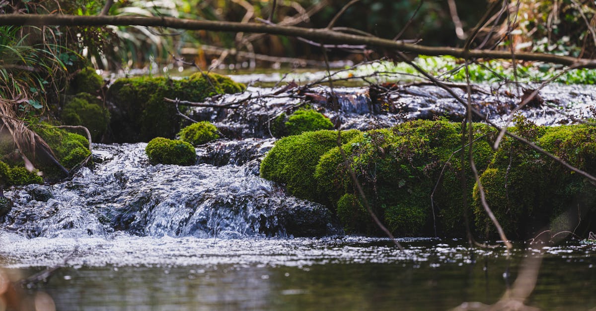 découvrez l'urgence climatique et son impact sur notre planète. explorez les enjeux environnementaux actuels et les solutions pour un avenir durable. agissons ensemble face à ce défi mondial !