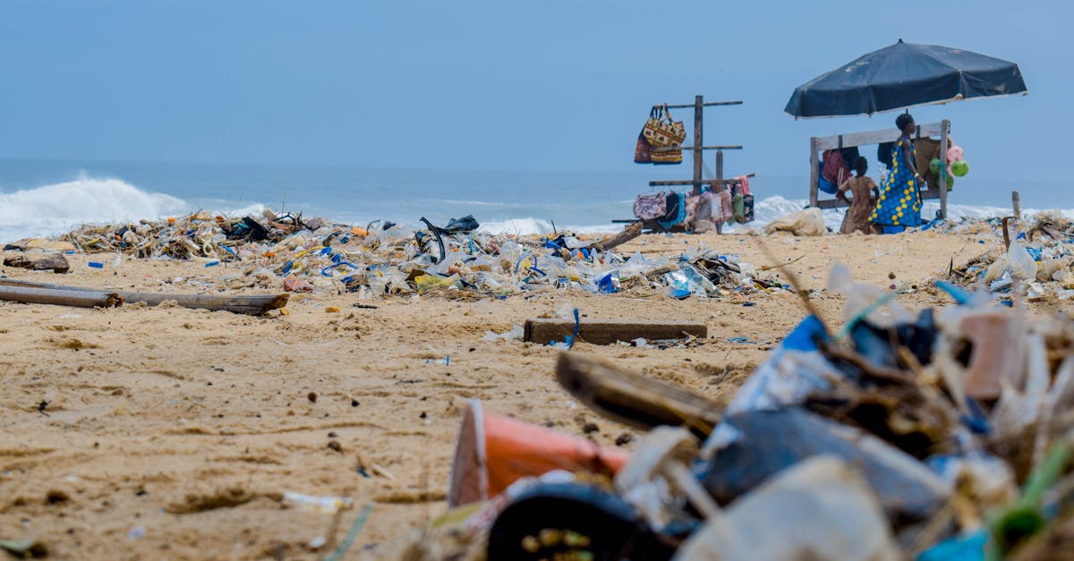 découvrez les enjeux de la pollution et ses impacts sur notre environnement, notre santé et notre avenir. informez-vous sur les causes, les conséquences et les solutions pour lutter contre ce fléau mondial.