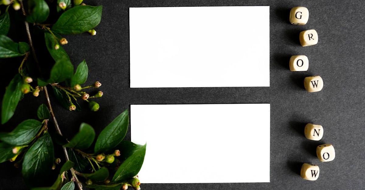 découvrez comment l'écoconception et la planification écologique peuvent transformer vos projets en harmonisant développement durable et préservation de l'environnement. adoptez des stratégies innovantes pour un avenir respectueux de la nature.
