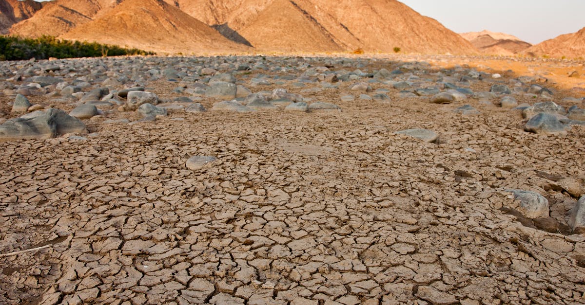 découvrez l'impact du changement climatique sur les zones montagneuses et les enjeux environnementaux liés à l'altitude.