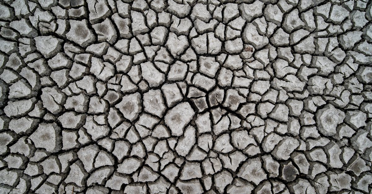 découvrez tout sur la sécheresse : causes, impacts environnementaux et solutions pour y faire face efficacement.