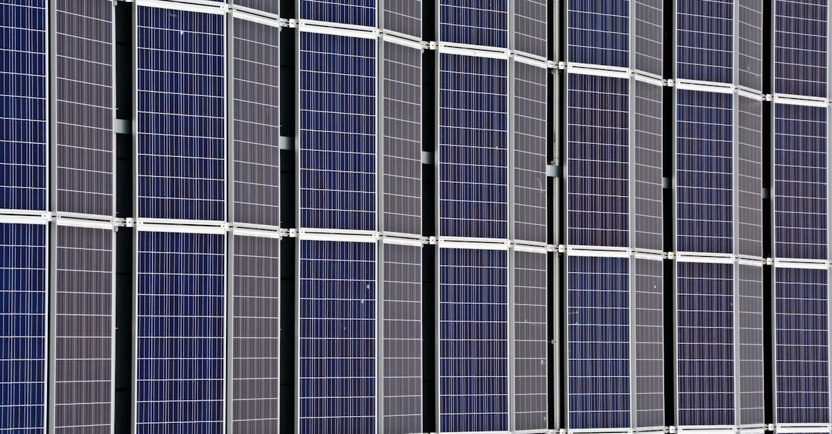 découvrez l'importance de la durabilité et ses impacts sur notre avenir. apprenez comment adopter des pratiques durables pour préserver notre planète tout en favorisant le bien-être économique et social.