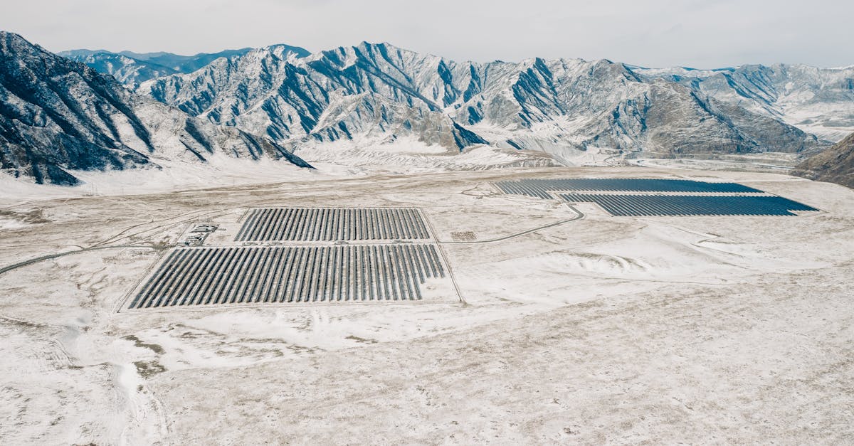 découvrez l'importance de la préservation des ressources et comment des pratiques durables peuvent protéger notre environnement pour les générations futures. apprenez des stratégies efficaces pour conserver l'eau, l'énergie et la biodiversité.