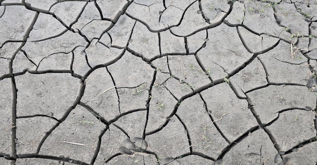 la dégradation des sols : comprendre ses causes, ses impacts sur l'environnement et les solutions pour préserver la qualité des terres agricoles.