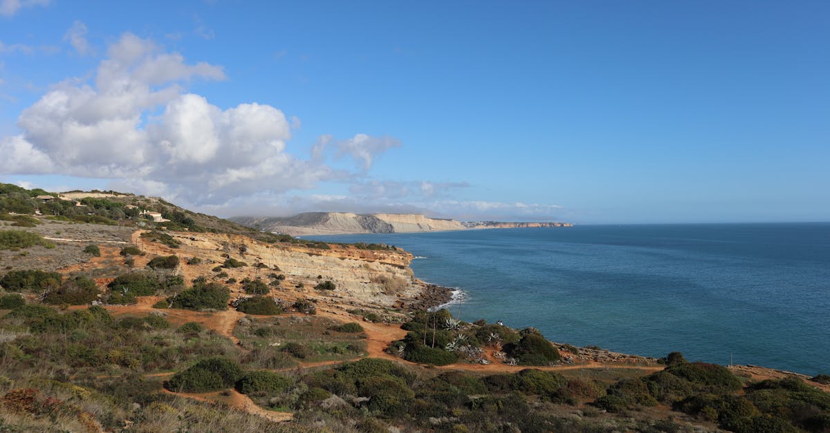explorez la riche biodiversité de notre planète, un écosystème incroyable où chaque espèce joue un rôle essentiel. découvrez l'importance de la conservation et comment nous pouvons tous contribuer à protéger la diversité biologique pour les générations futures.