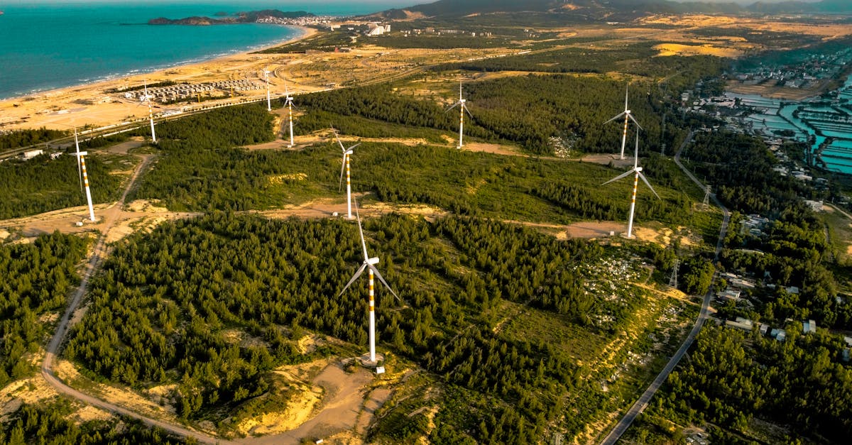 découvrez les enjeux et solutions pour une transition durable alliant écologie, économie et innovation afin de préserver notre planète pour les générations futures.