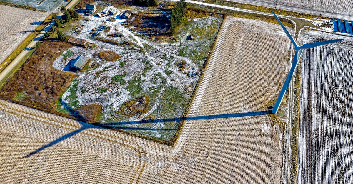 découvrez comment l'économie verte transforme notre monde en favorisant des pratiques durables, l'innovation écologique et des solutions respectueuses de l'environnement pour un avenir plus sain et équitable.