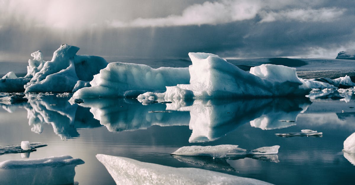 découvrez les causes, les impacts et les solutions pour lutter contre le changement climatique et protéger notre planète pour les générations futures.