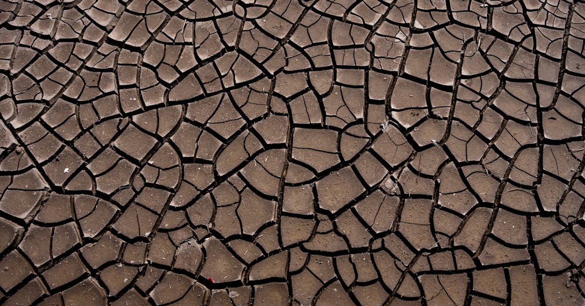 la dégradation des sols : causes, conséquences et solutions pour préserver la fertilité et la santé des terres agricoles.