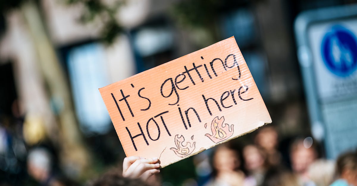 découvrez les initiatives et stratégies clés pour lutter contre le changement climatique et promouvoir une action climatique durable.