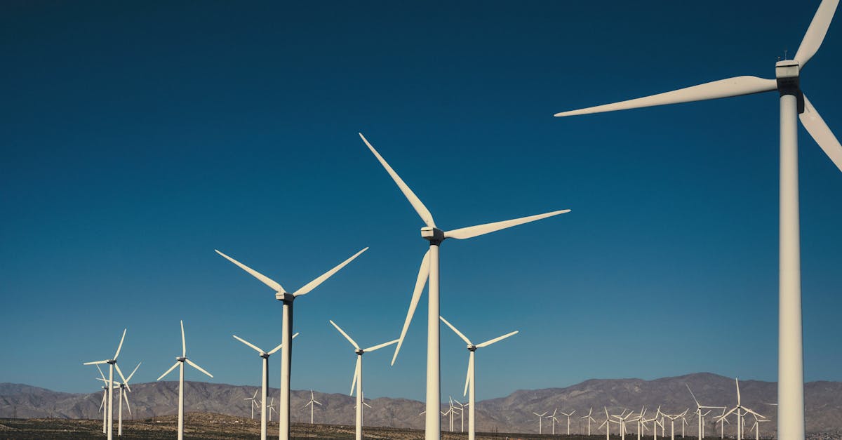 découvrez les dernières avancées de la green technology : innovations durables, énergies renouvelables et solutions écologiques pour un avenir plus propre.