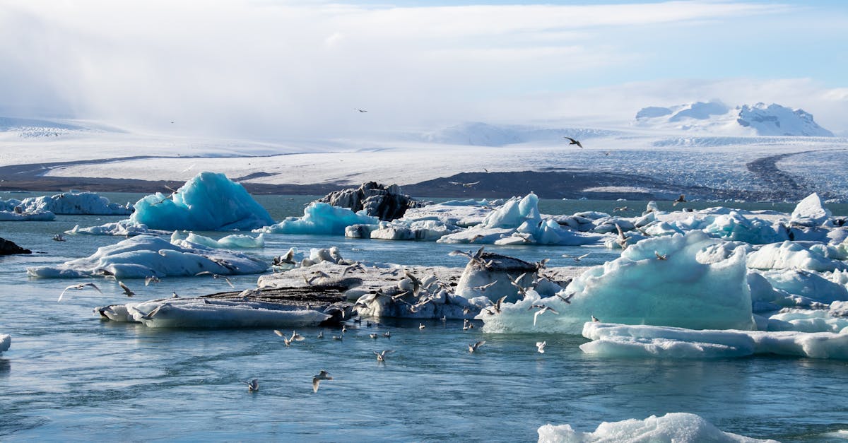 découvrez comment sensibiliser à l'importance du changement climatique, comprendre ses impacts et adopter des solutions concrètes pour un avenir plus durable.