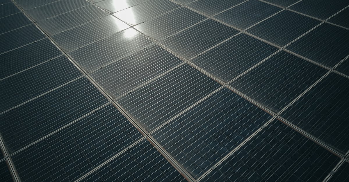 découvrez nos initiatives et solutions pour promouvoir la durabilité environnementale, sociale et économique, afin de construire un avenir responsable et respectueux de la planète.