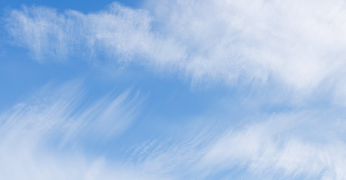 découvrez les enjeux climatiques actuels et les solutions pour préserver notre planète face au changement climatique.