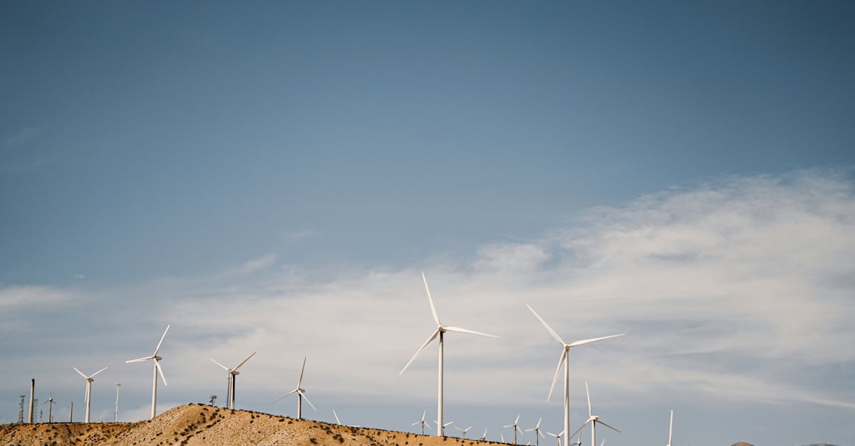 découvrez les dernières innovations écologiques qui transforment notre manière de vivre et de consommer. explorez les technologies durables et les solutions respectueuses de l'environnement qui façonnent un avenir plus vert.