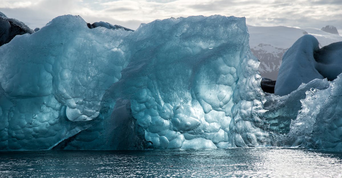 explorez les enjeux du changement climatique, ses impacts sur l'environnement, la société et les solutions pour un avenir durable. informez-vous sur les actions nécessaires pour préserver notre planète.