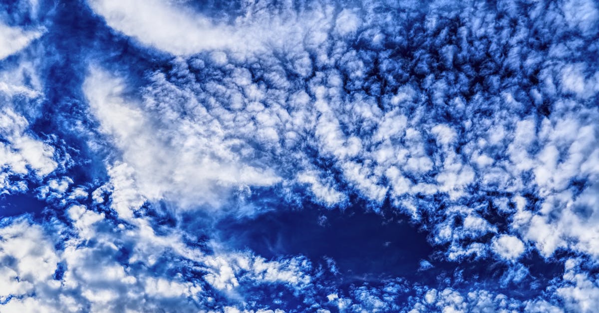 découvrez des informations essentielles et actuelles sur le climat, ses défis et ses impacts pour un avenir durable.