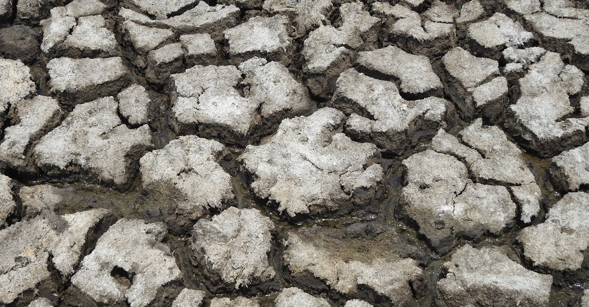 découvrez les causes, les impacts et les solutions du changement climatique pour mieux comprendre et agir face à cette urgence mondiale.