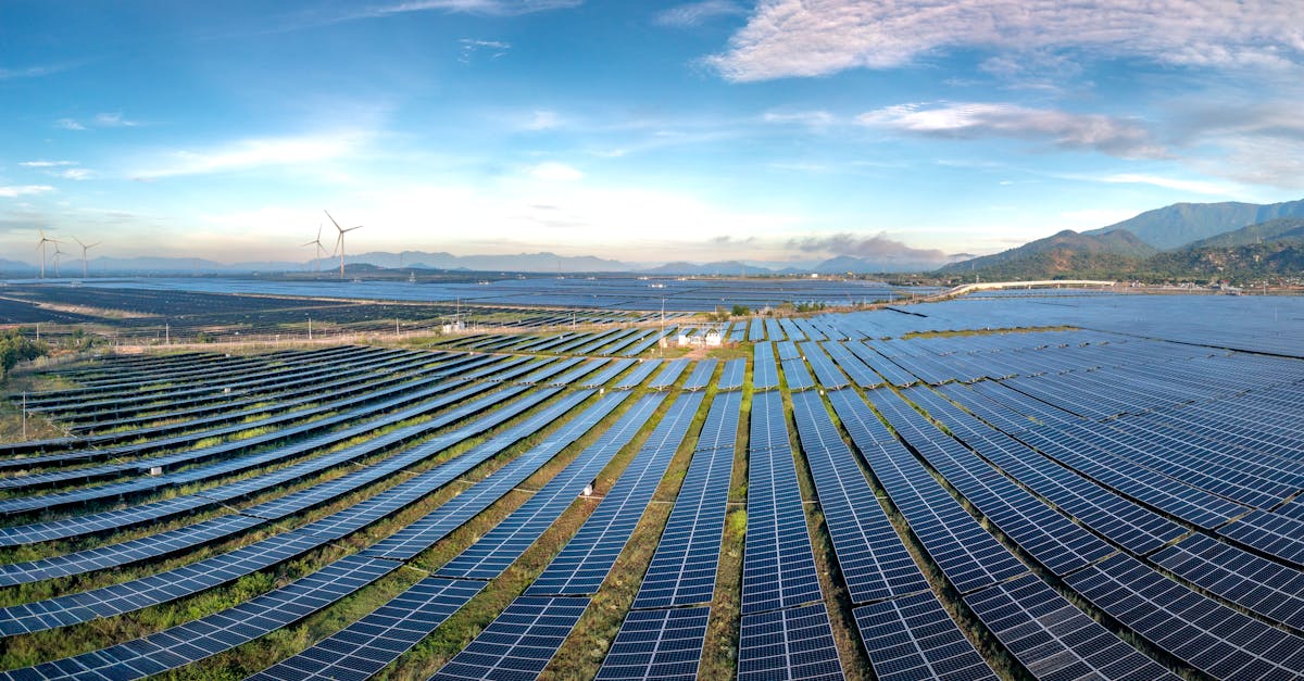 découvrez comment intégrer la durabilité dans vos pratiques pour un avenir respectueux de l'environnement et socialement responsable.