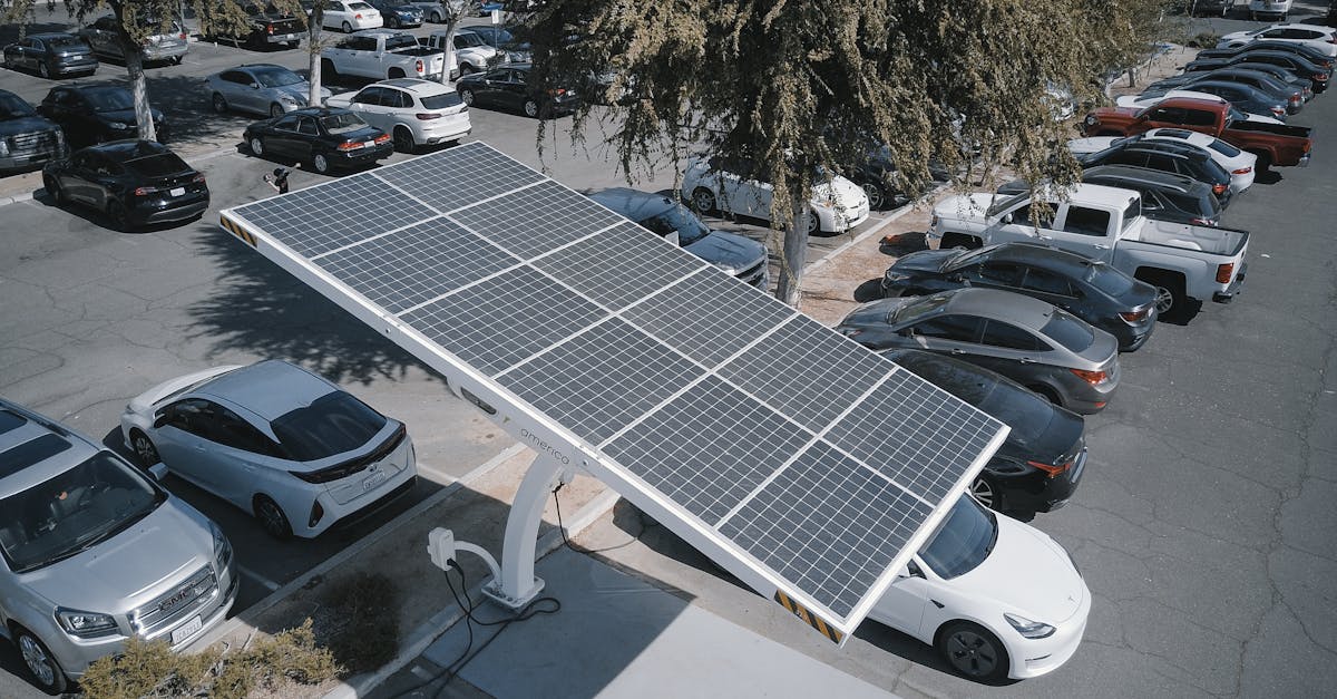découvrez l'importance de la durabilité et comment adopter des pratiques éco-responsables pour préserver notre planète et assurer un avenir viable.