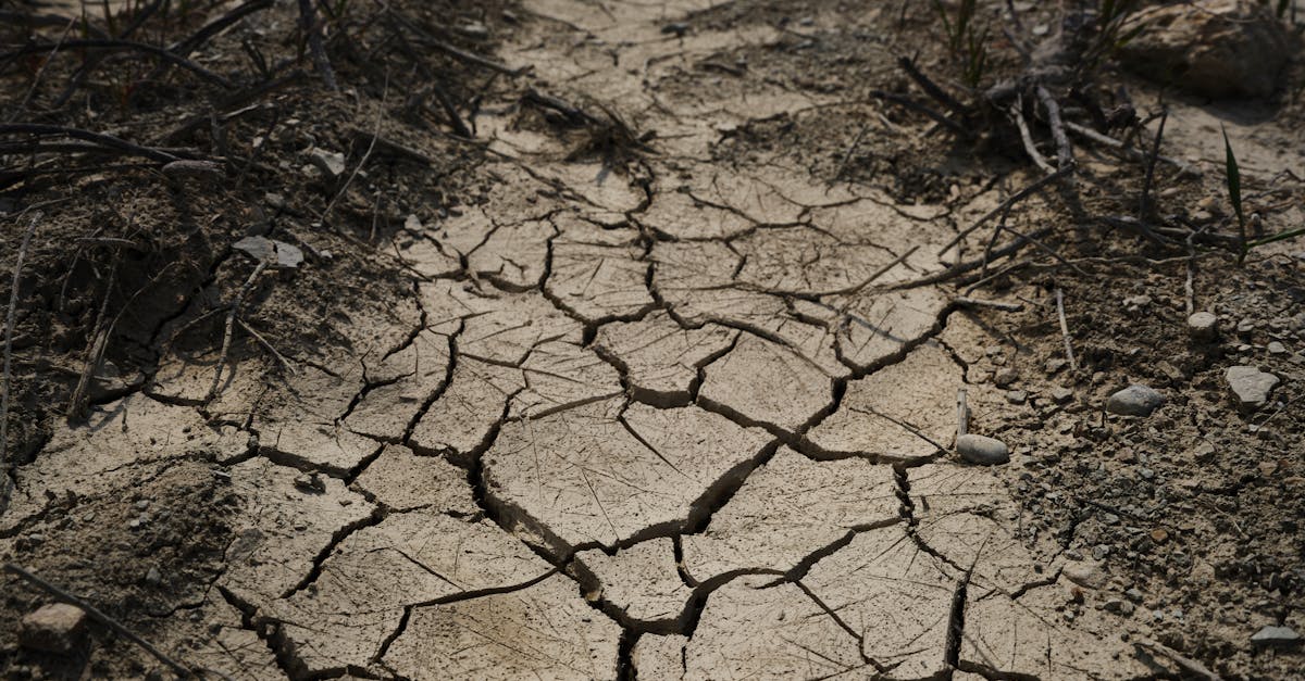 découvrez les causes, les impacts et les solutions face au changement climatique pour préserver notre planète et assurer un avenir durable.