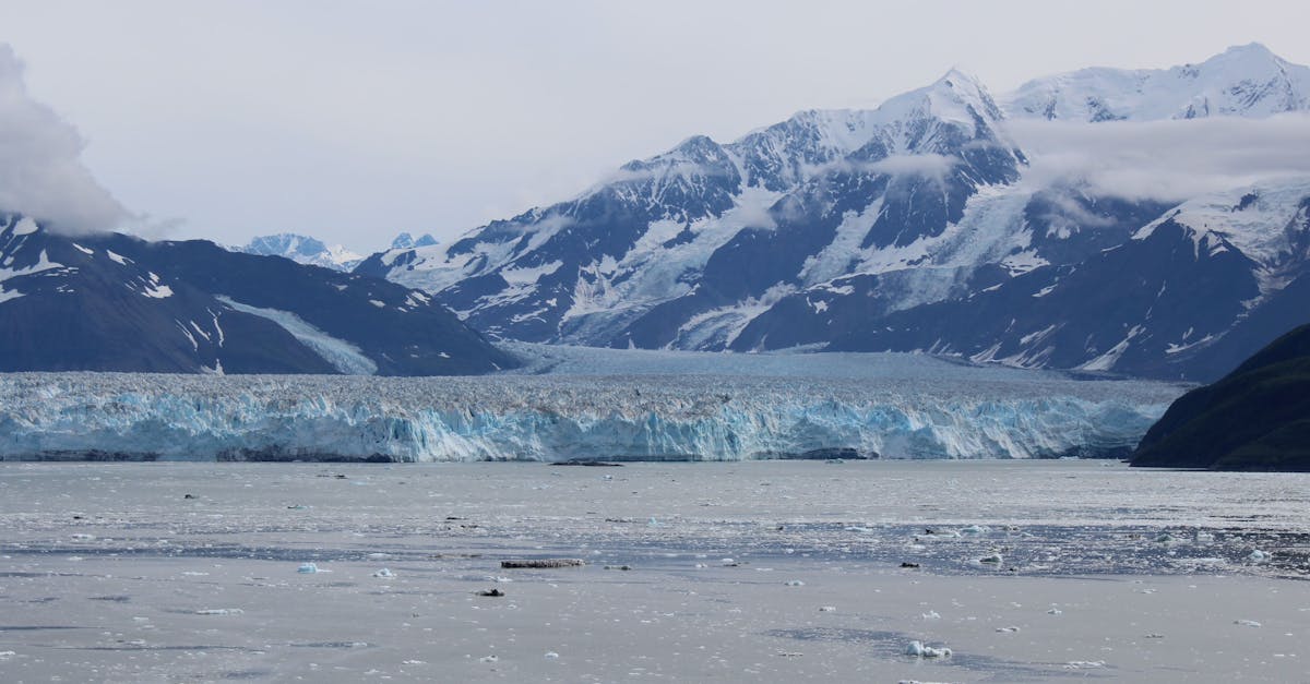 découvrez l'impact du changement climatique sur les régions montagneuses et les mesures pour préserver ces écosystèmes fragiles.