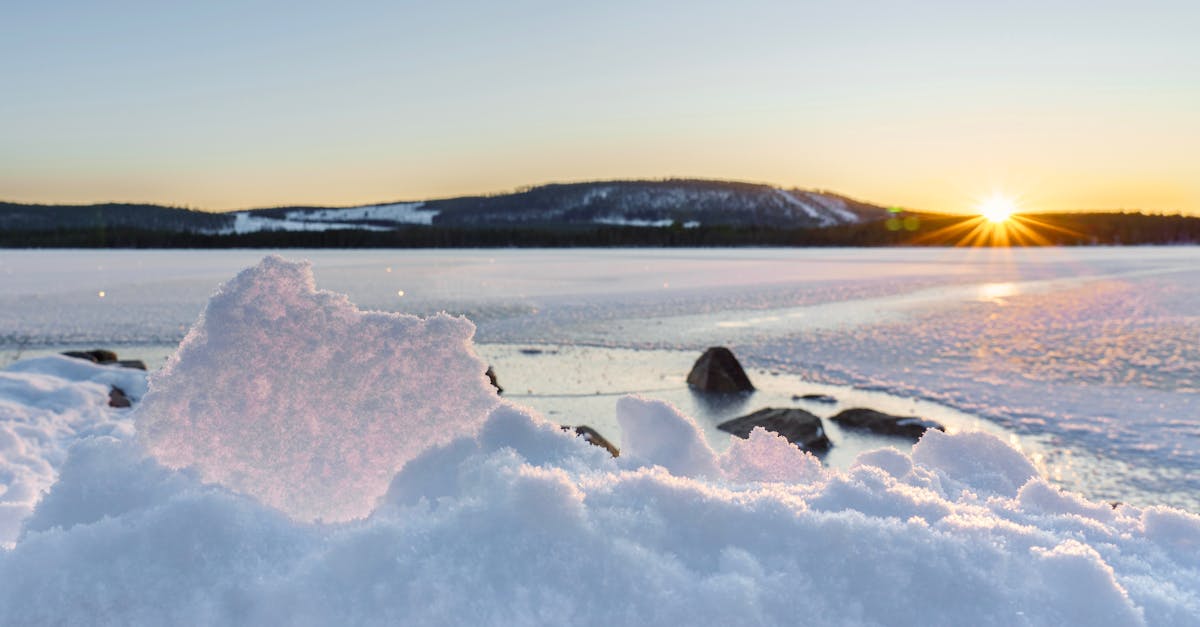 découvrez les startups innovantes qui luttent contre le changement climatique. inspirez-vous de projets prometteurs et de technologies durables visant à préserver notre planète et à transformer notre futur. rejoignez le mouvement pour une économie verte et résiliente!