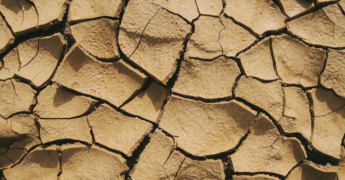 découvrez les impacts des catastrophes climatiques, leurs causes, conséquences et les solutions pour mieux prévenir et s'adapter aux changements environnementaux.