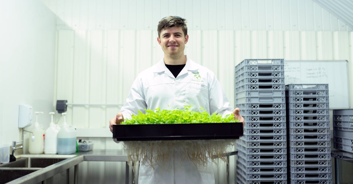 découvrez l'agriculture durable, une approche innovante alliant respect de l'environnement et rentabilité. apprenez comment cette méthode favorise la biodiversité, réduit l'empreinte carbone et soutient les communautés locales. explorez les pratiques et les avantages d'une agriculture responsable pour un avenir meilleur.