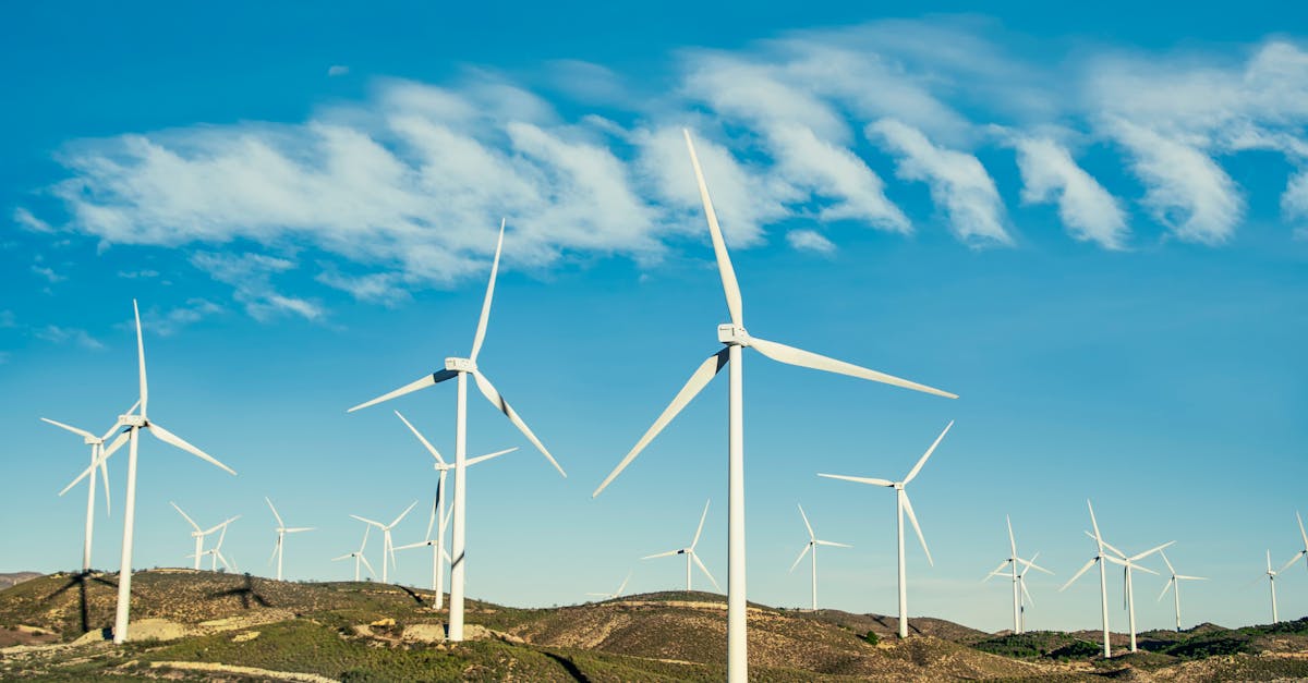 découvrez comment adopter des pratiques durables pour préserver l’environnement, réduire votre empreinte écologique et contribuer à un avenir plus vert grâce à des solutions innovantes en matière de durabilité environnementale.